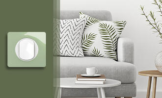 Meilleur interrupteur : Céliane, la valeur sûre