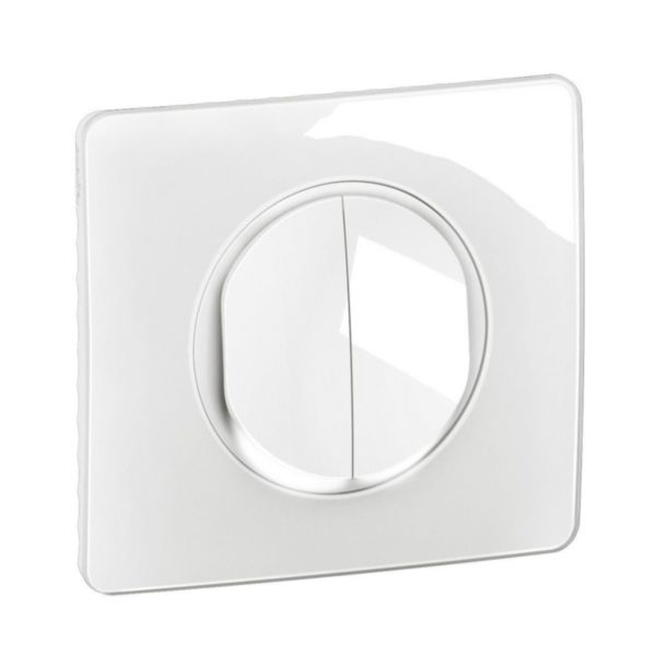 Double interrupteur ou va-et-vient lumineux 10A (voyant fourni) Céliane avec plaque - Blanc