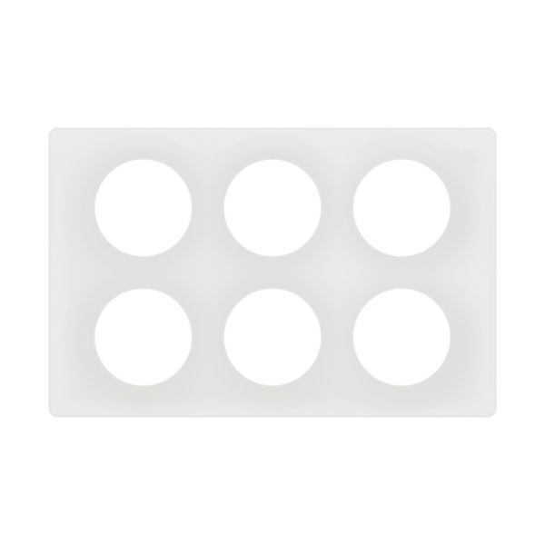 Plaque de finition Céliane Blanc Emaillé - 2x3 postes