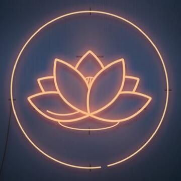 lotus neon orange 350x350