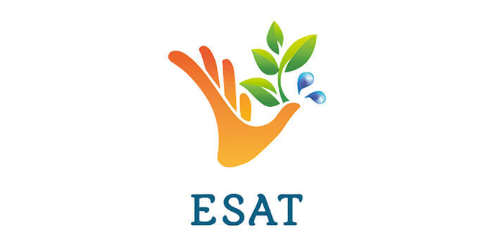 logo esat 700x350